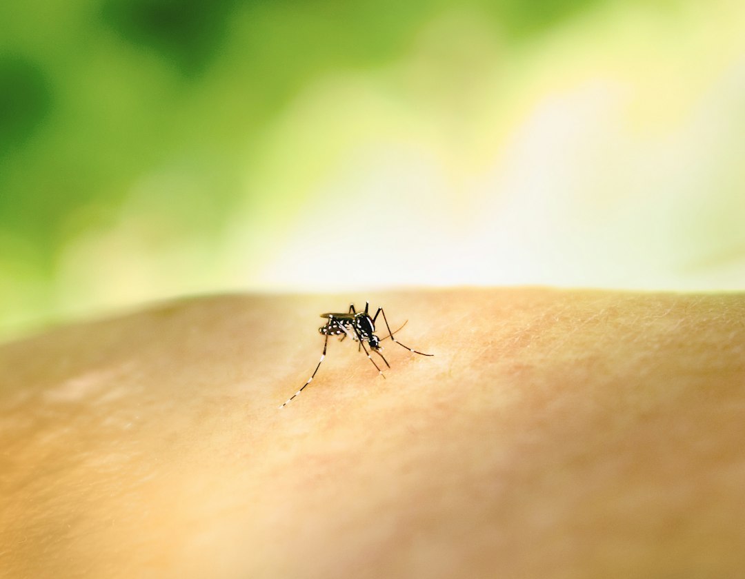 Mosquito Repellent Bracelets: What To Know